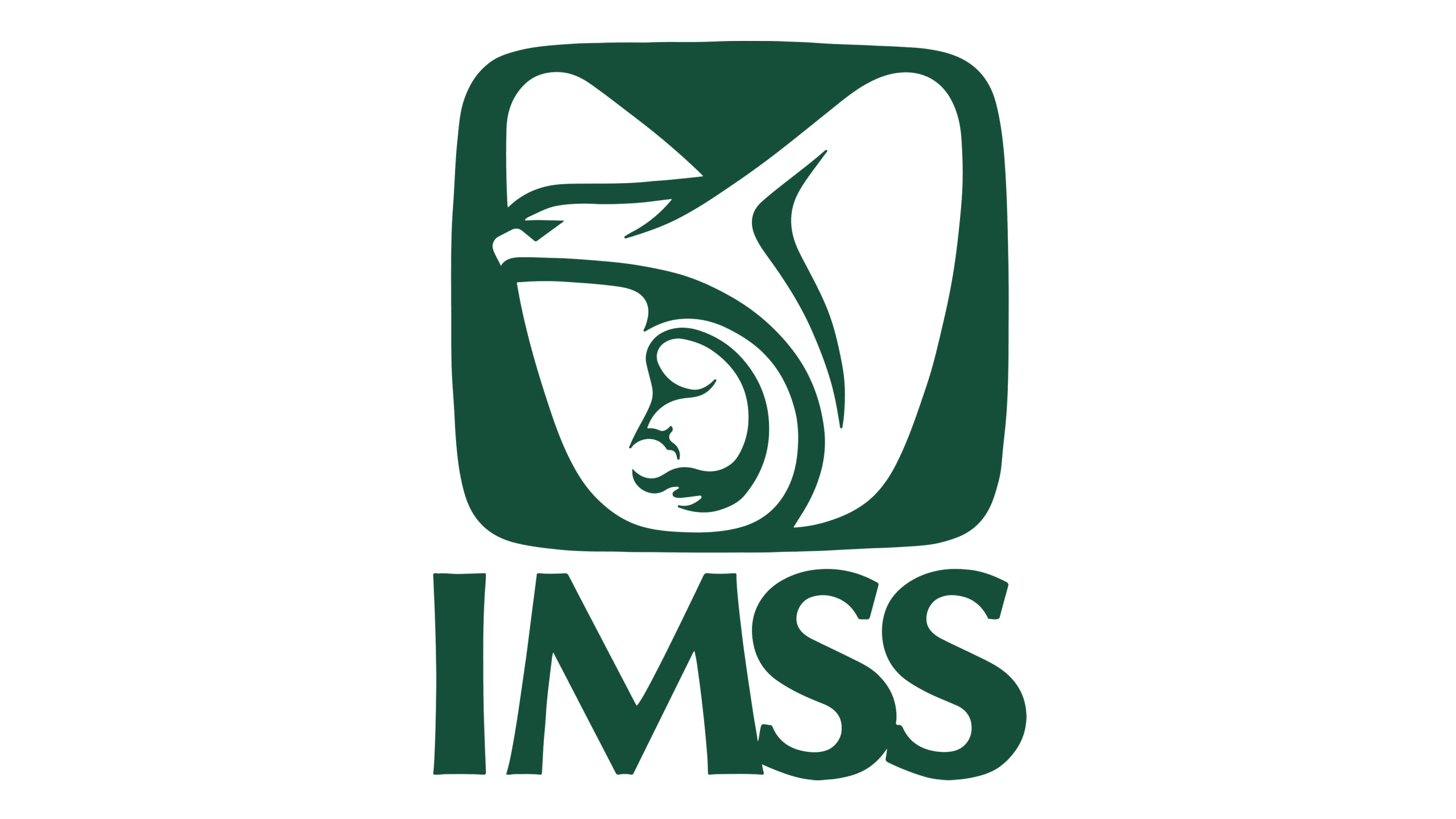 IMSS IMSS