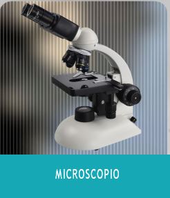 Micro