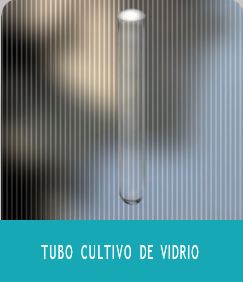 cultivo