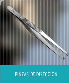 pdisección