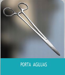 portaaguja